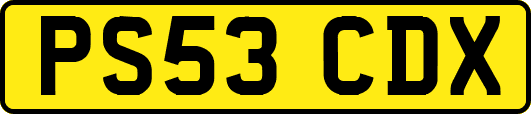 PS53CDX