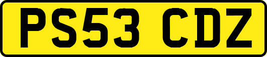 PS53CDZ