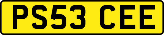 PS53CEE