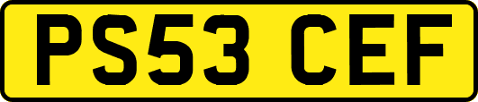 PS53CEF