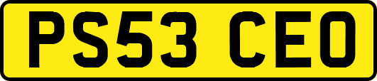 PS53CEO