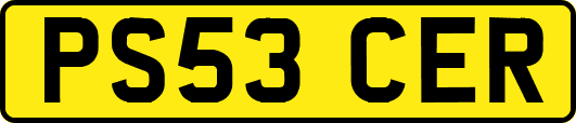 PS53CER