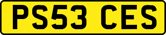 PS53CES