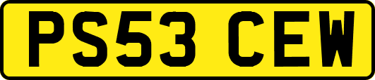 PS53CEW
