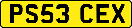 PS53CEX