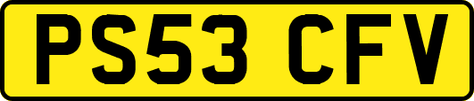 PS53CFV
