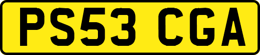 PS53CGA