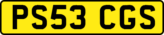 PS53CGS