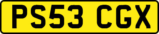 PS53CGX