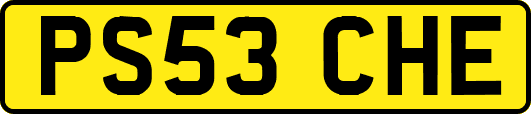 PS53CHE