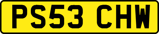 PS53CHW