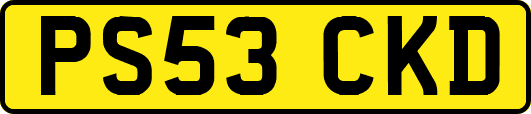 PS53CKD