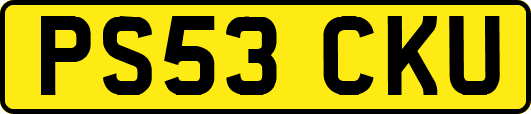 PS53CKU