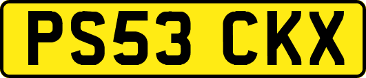 PS53CKX