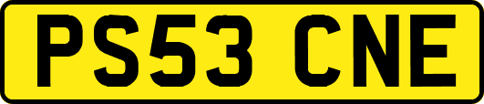 PS53CNE