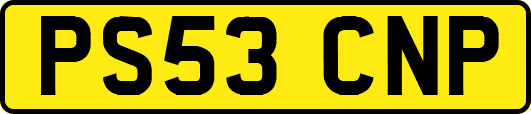 PS53CNP