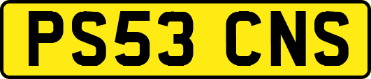PS53CNS