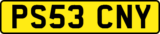 PS53CNY
