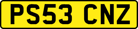 PS53CNZ