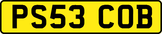 PS53COB