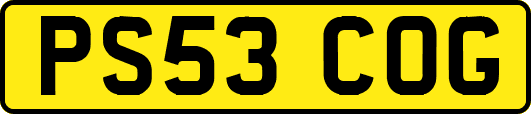 PS53COG
