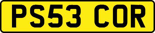 PS53COR