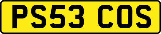 PS53COS