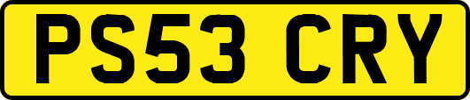 PS53CRY