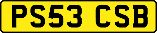 PS53CSB