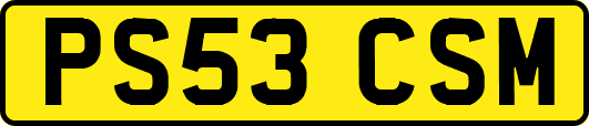PS53CSM