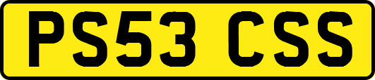 PS53CSS