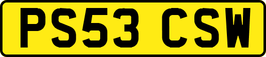 PS53CSW