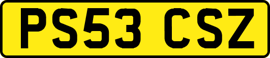 PS53CSZ