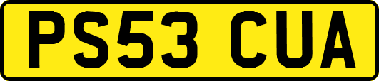 PS53CUA