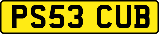 PS53CUB