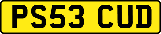 PS53CUD