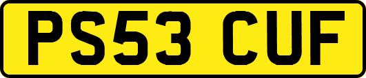PS53CUF