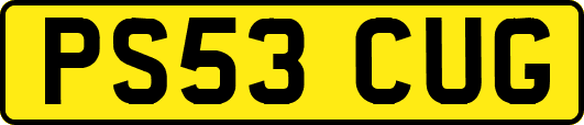 PS53CUG