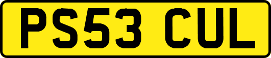 PS53CUL