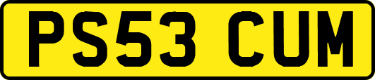 PS53CUM