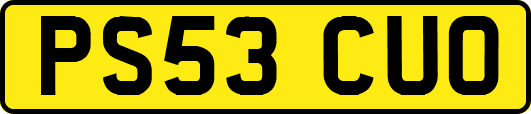 PS53CUO