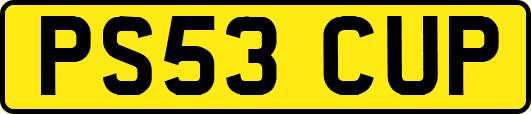 PS53CUP