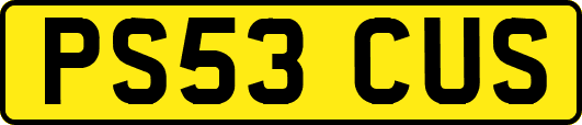 PS53CUS