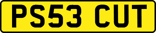 PS53CUT