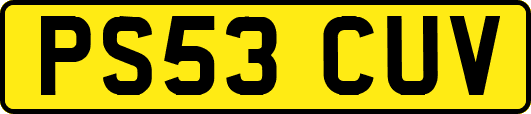 PS53CUV