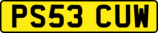 PS53CUW