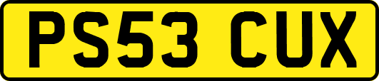 PS53CUX