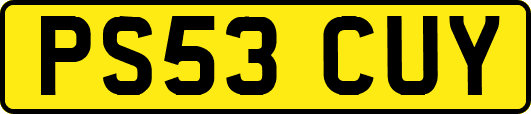 PS53CUY