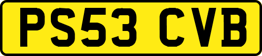 PS53CVB