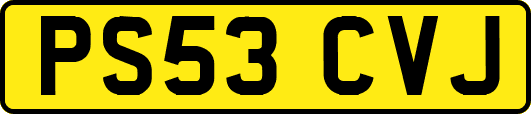 PS53CVJ